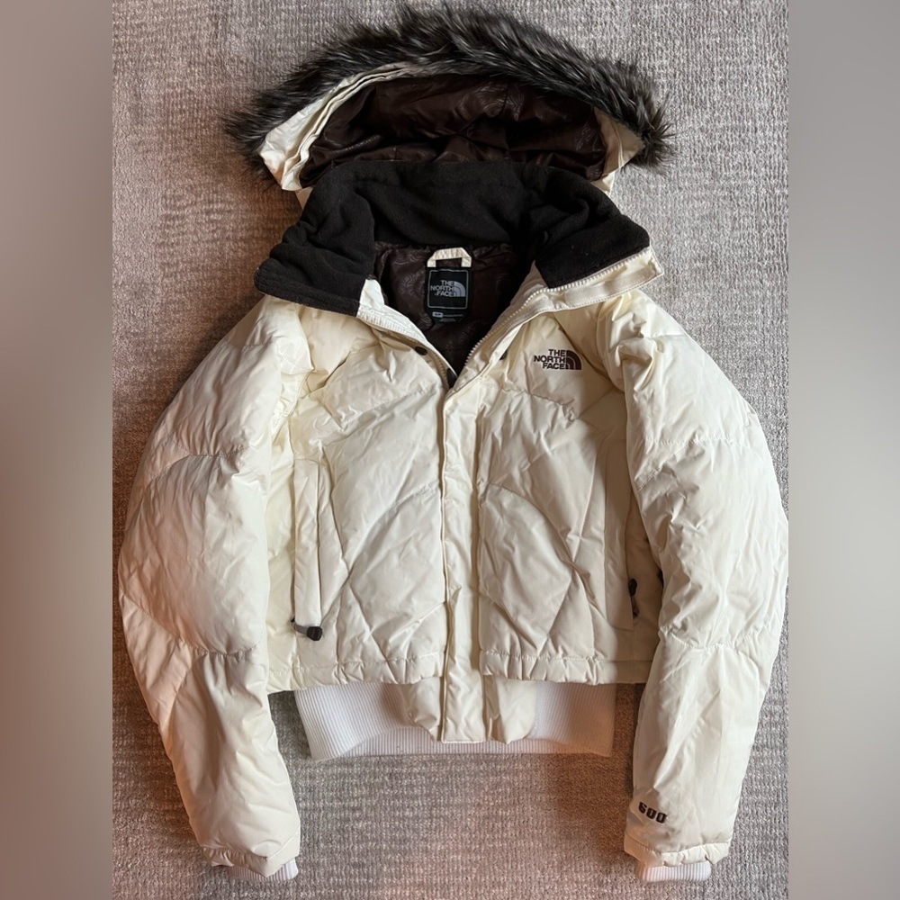 The North Face Puffer Ski Jacket